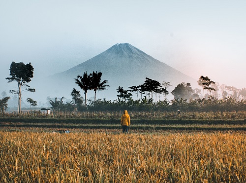 Person stands looking at volcano