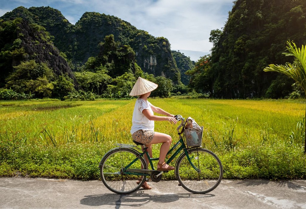 tefl course in vietnam