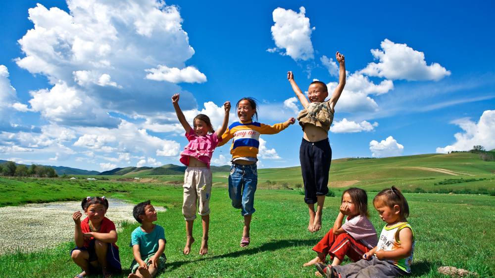 tefl course for business teaching mongolia
