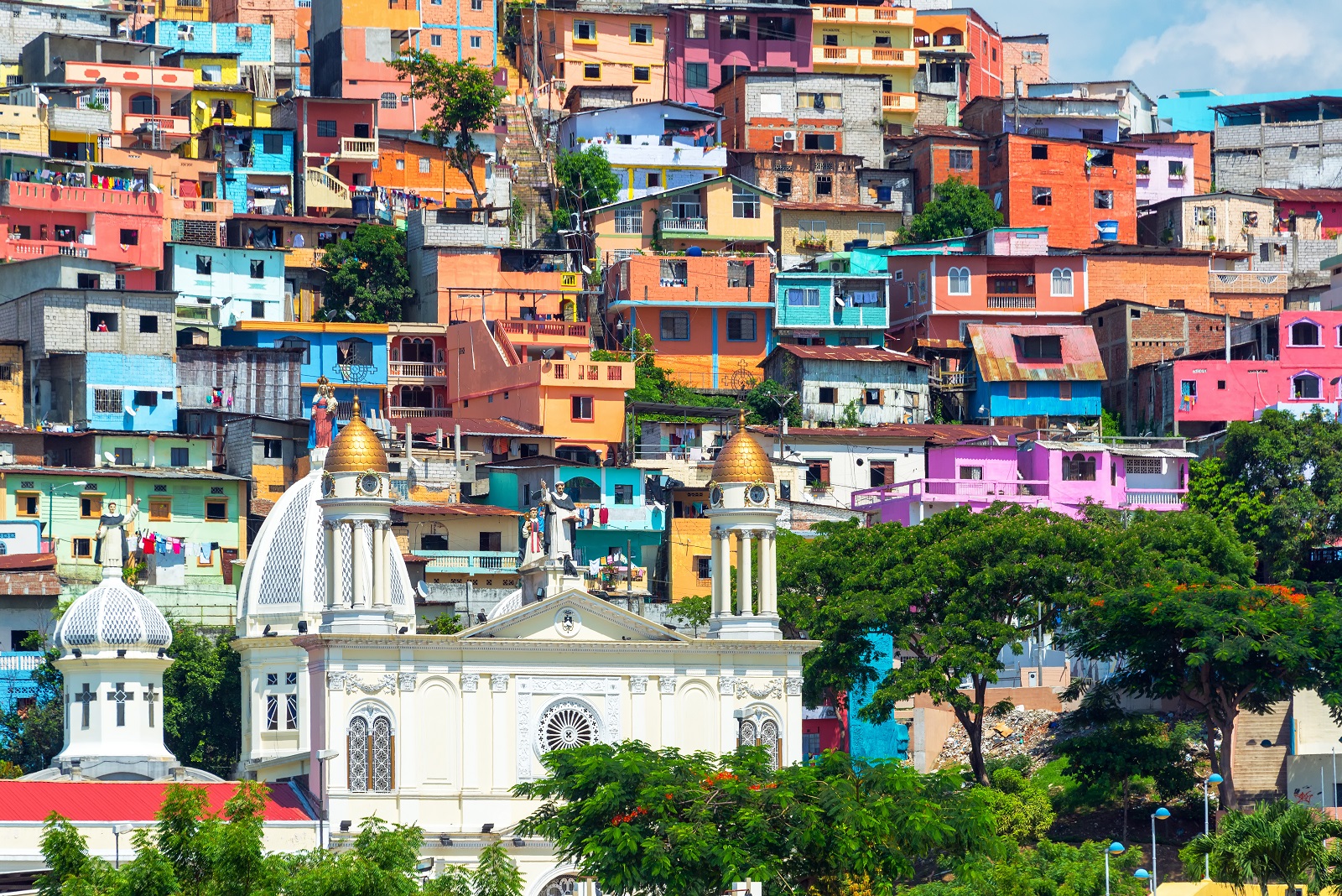 tefl course to teach english in ecuador