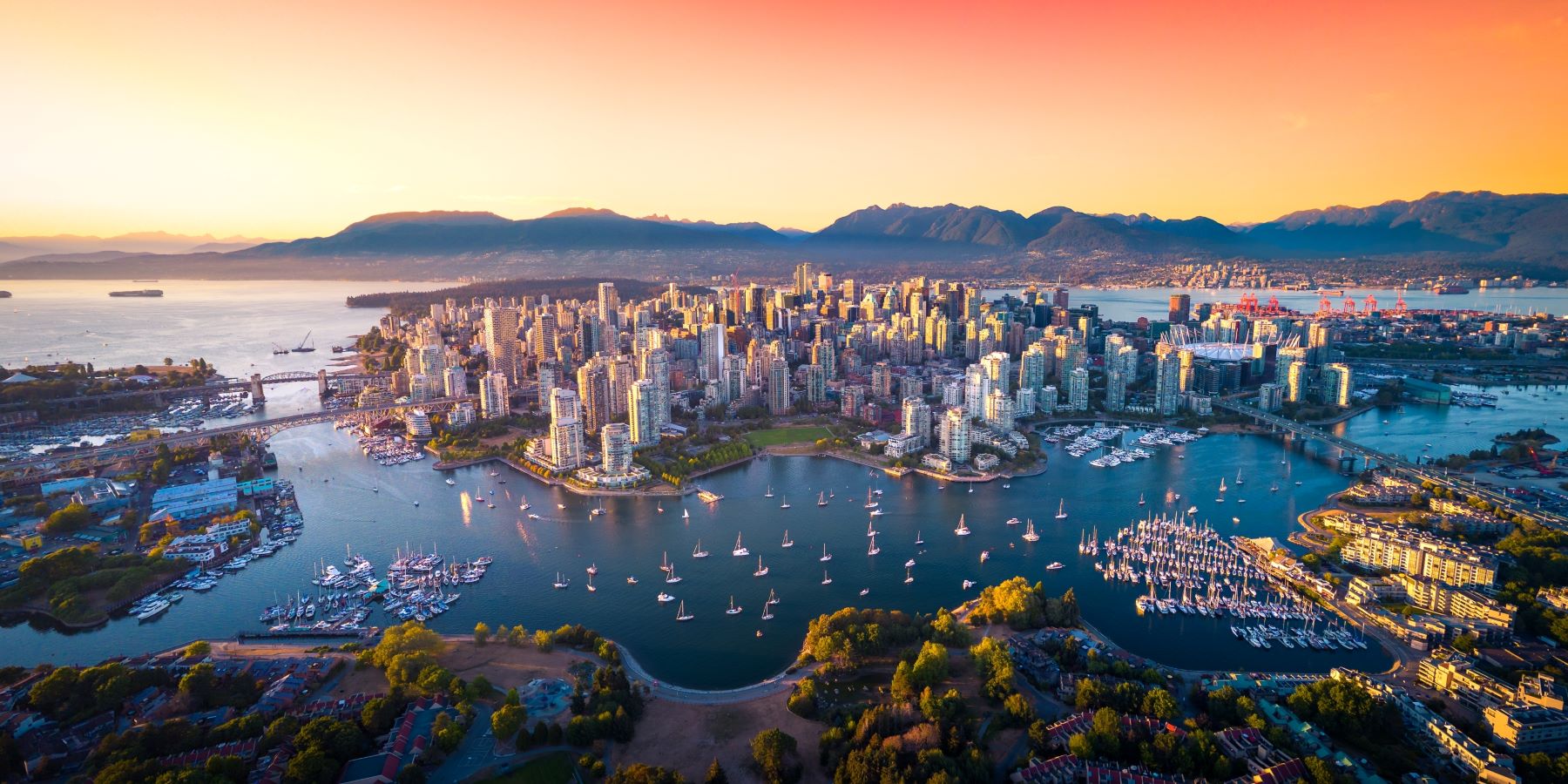 tefl course canada